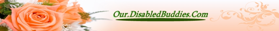 our.disabledbuddies.com